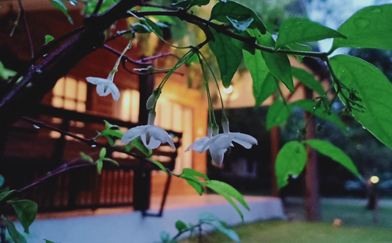 Rai Lung Tui Homestay Prachuap Khiri Khan Esterno foto